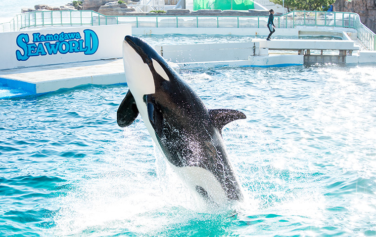 ツアー詳細 サミットツアー 観光バス 貸切バスのご案内は東京遊覧観光バスにお任せ下さい